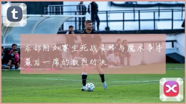 东部附加赛生死战黄蜂与魔术争夺最后一席的激烈对决