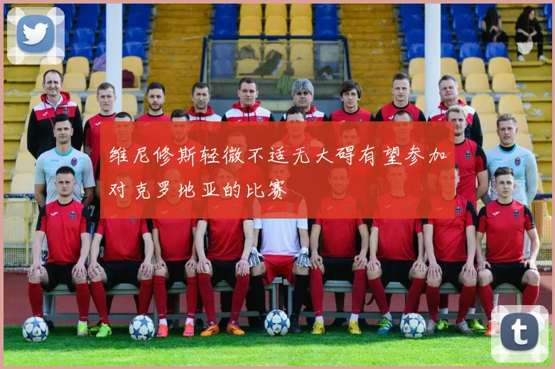 维尼修斯轻微不适无大碍有望参加对克罗地亚的比赛