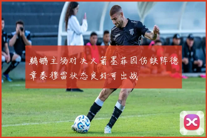 鹈鹕主场对决火箭墨菲因伤缺阵德章泰穆雷状态良好可出战
